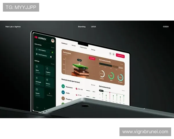 優化版ag网站入口全天候在线支持帮助玩家快速访问享受顺畅游戏体验