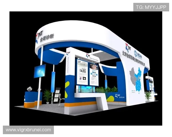 关于AG国际的网址地址大全及其安全性分析指南