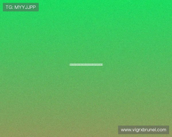 完成注册后如何绑定手机邮箱提升账号安全性的方法